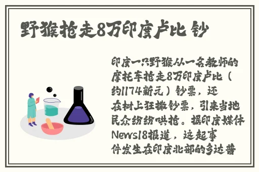 伊园甸麻园2023入口音响